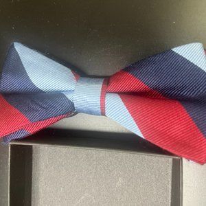 Men's Bowtie Striped (Adjustable/OS) Business/Professional